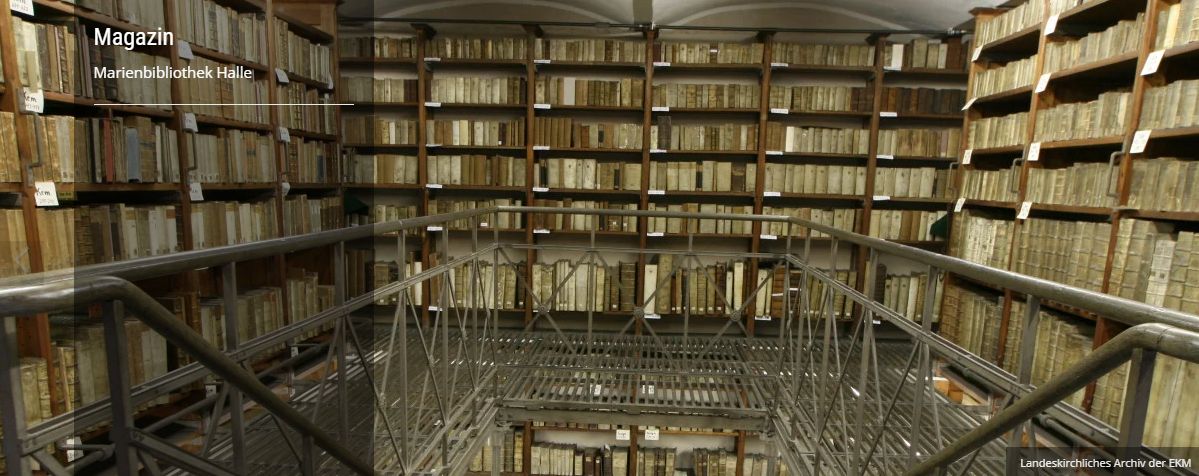 Bibliothek in Halle
